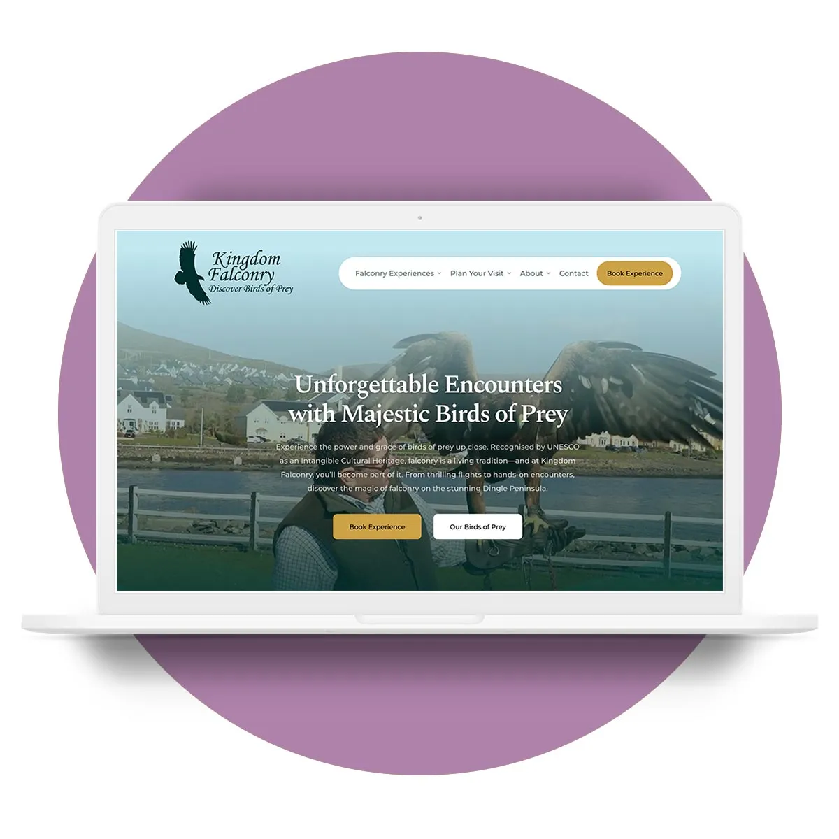 Kingdom Falconry