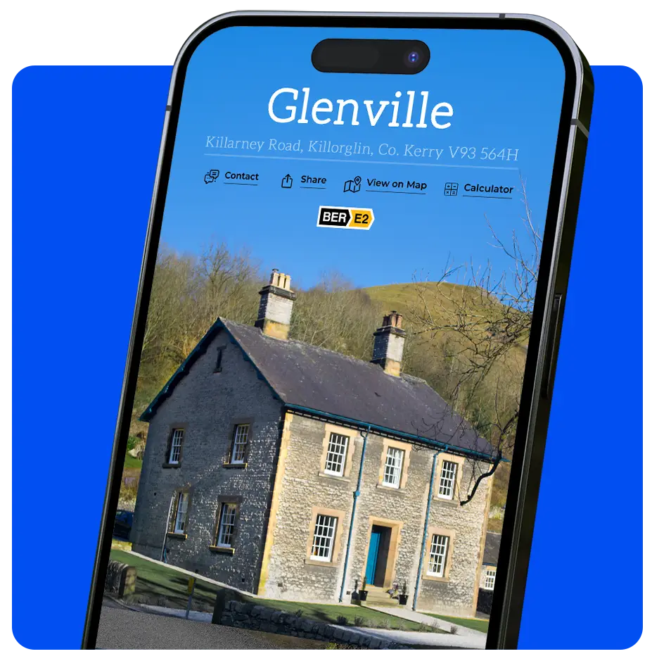 Websites for Auctioneers in Ireland