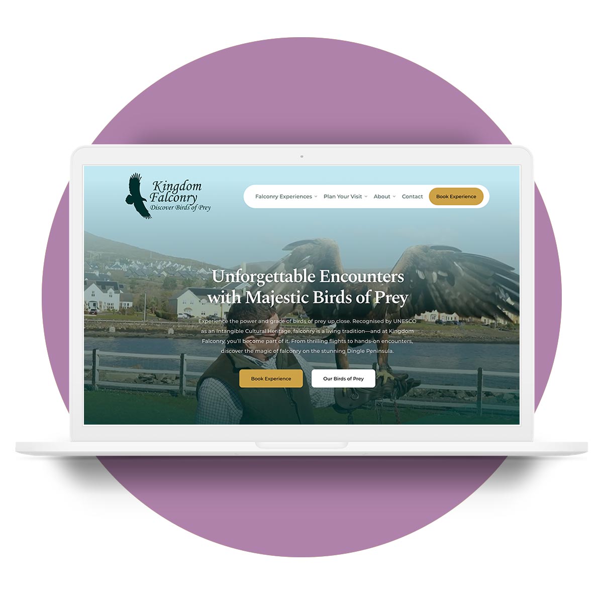 Kingdom Falconry Dingle